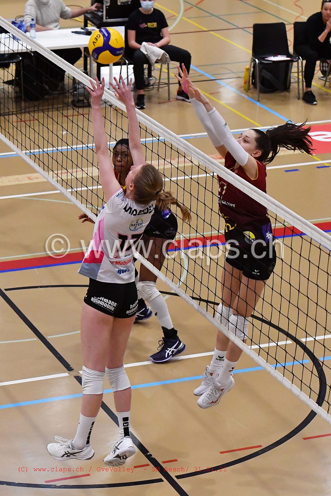 Genève Volley SM Aesch
