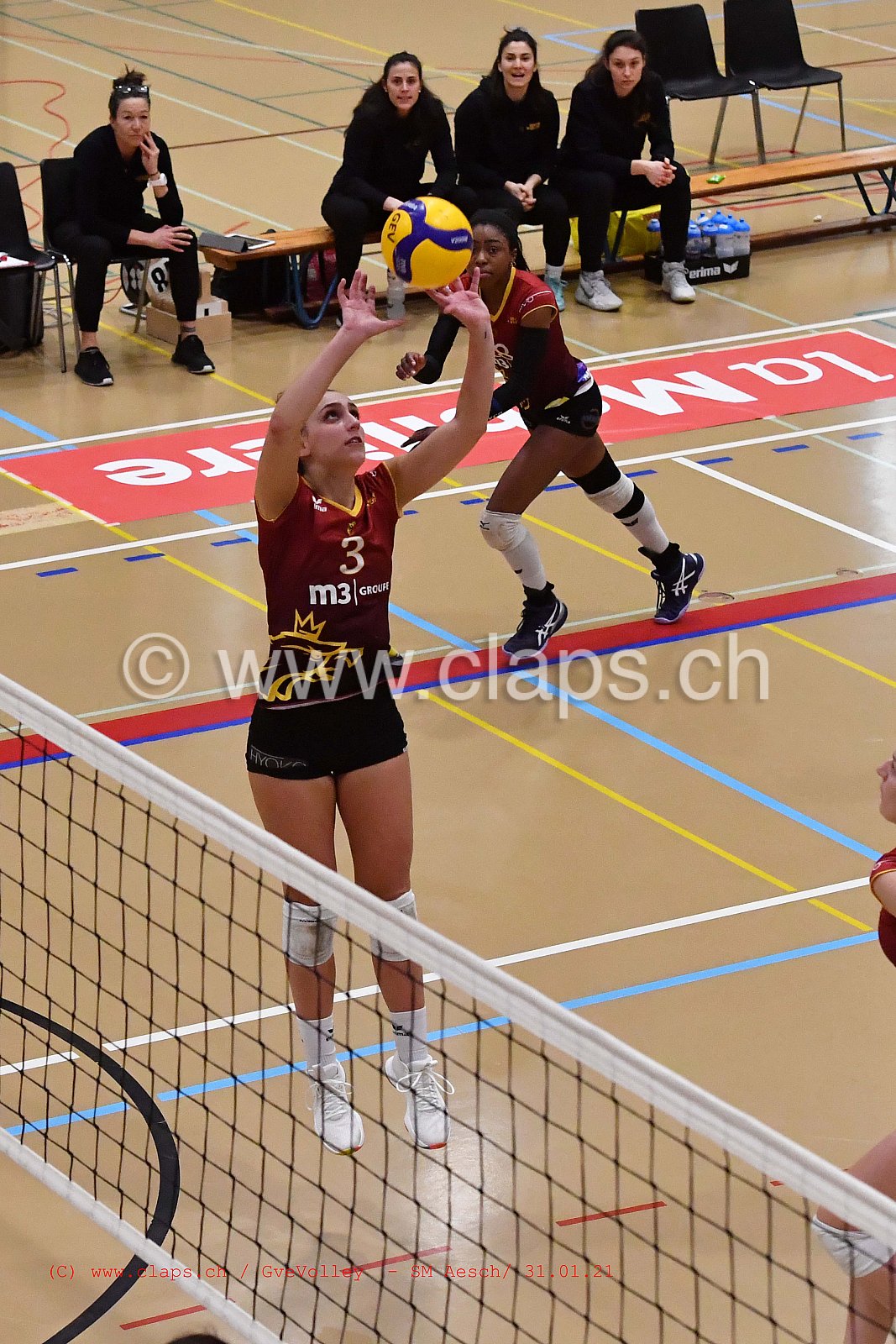 Genève Volley SM Aesch