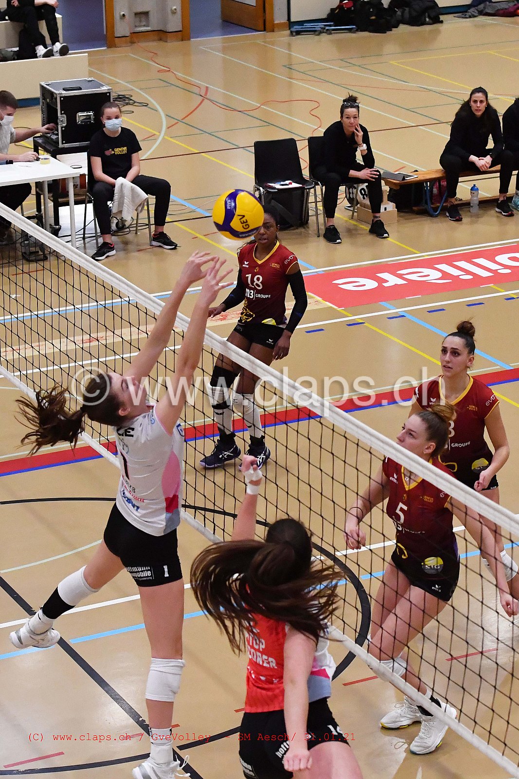 Genève Volley SM Aesch