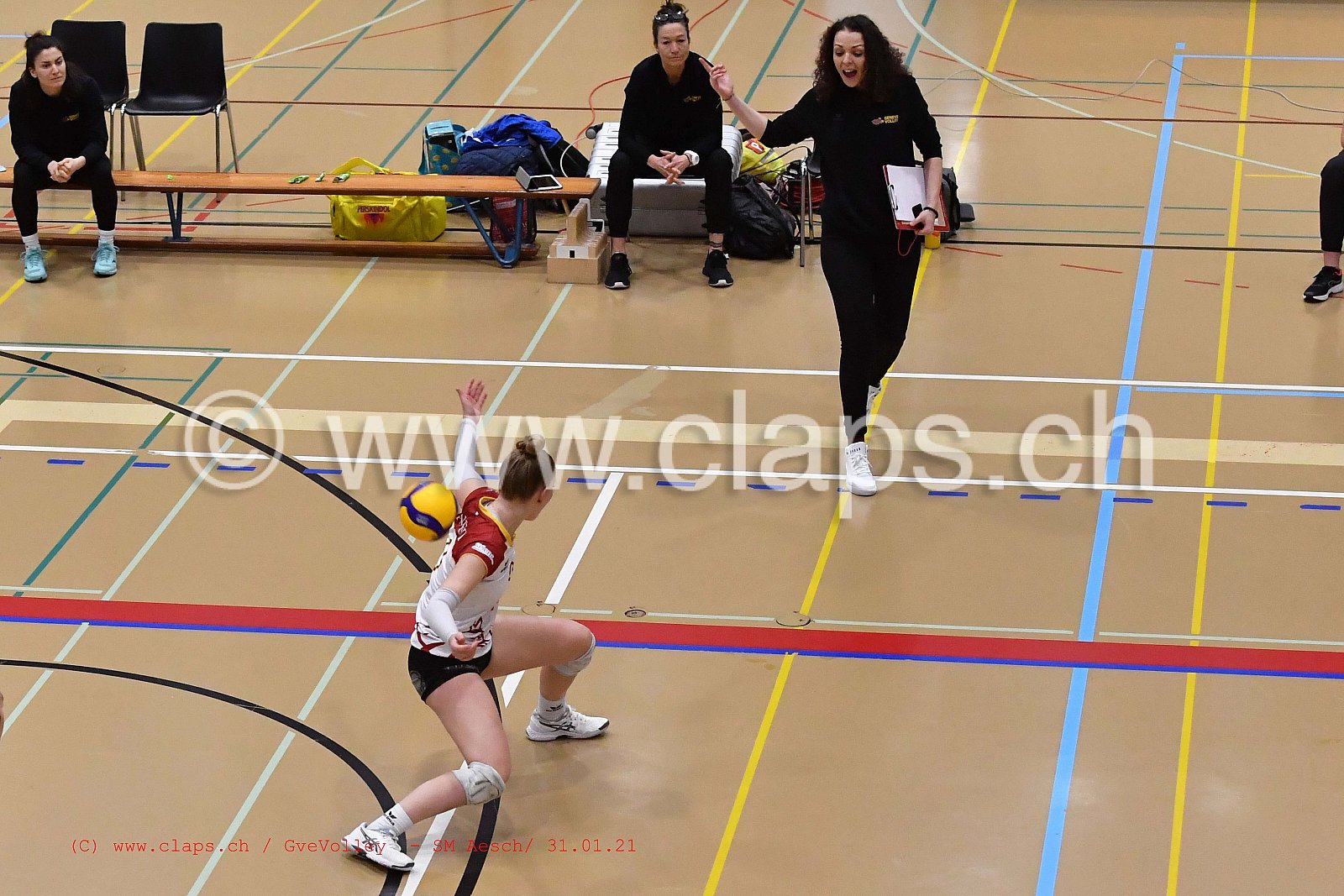 Genève Volley SM Aesch
