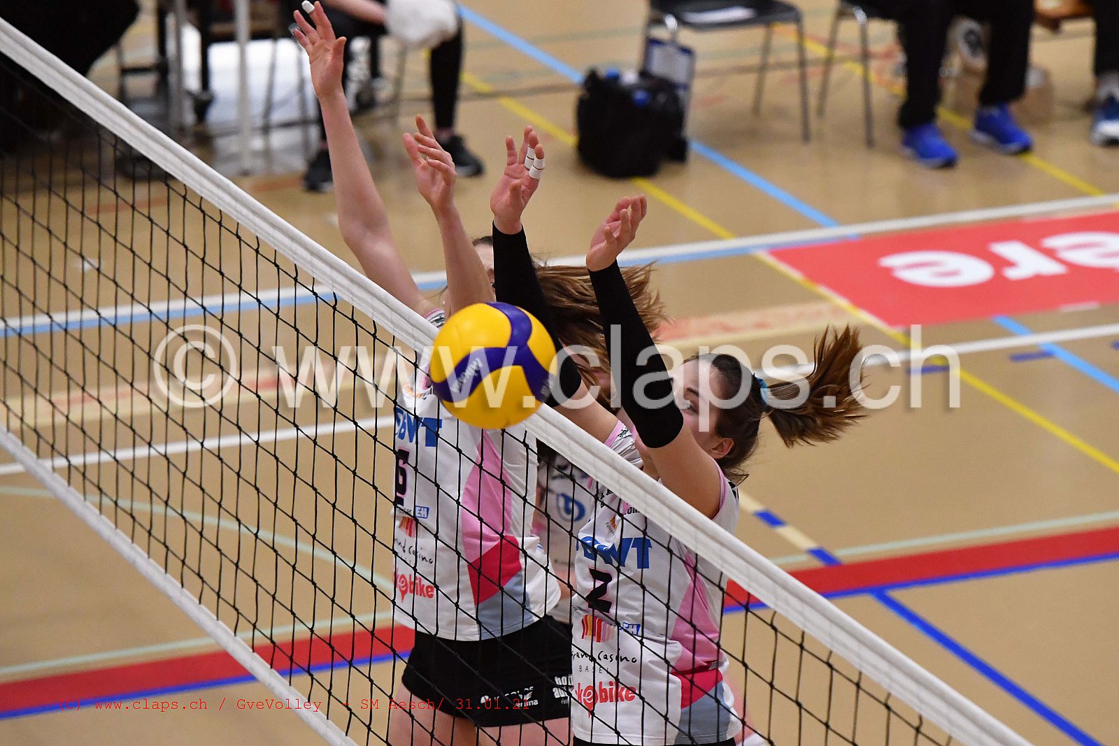 Genève Volley SM Aesch