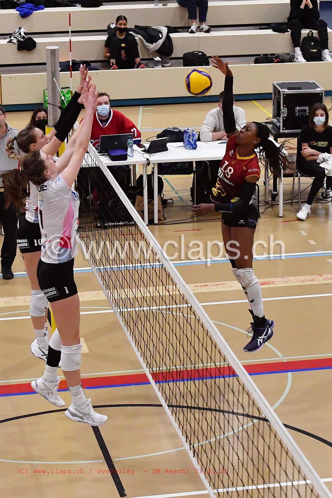 Genève Volley SM Aesch