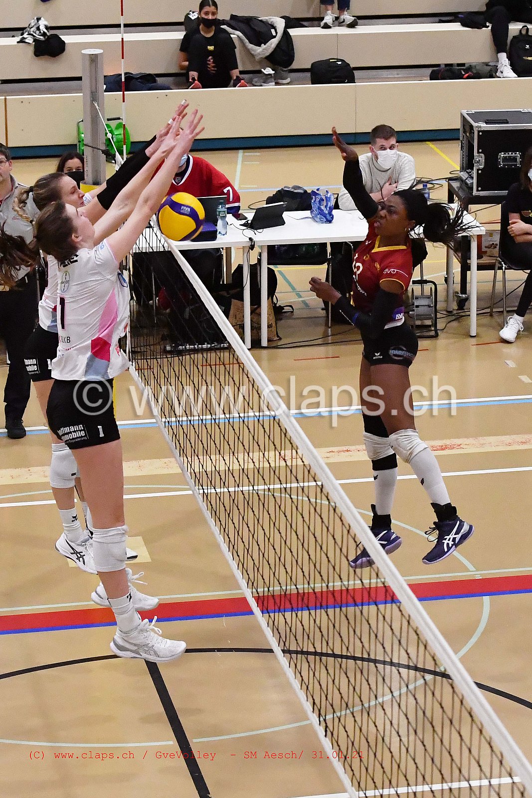 Genève Volley SM Aesch