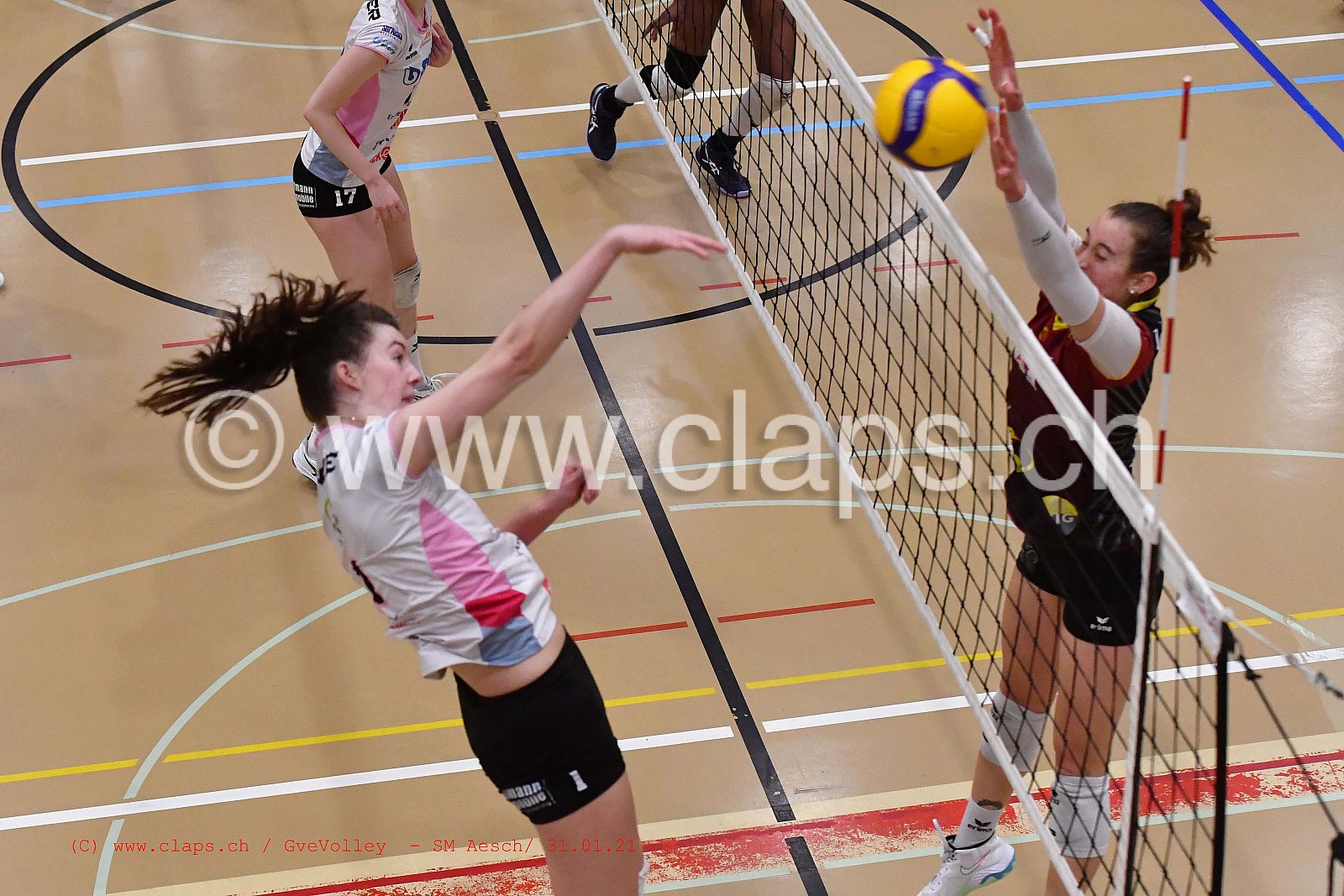 Genève Volley SM Aesch