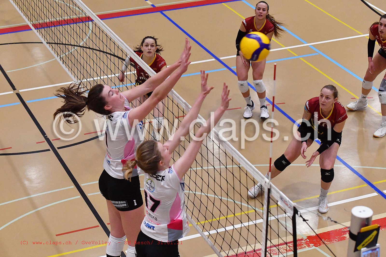 Genève Volley SM Aesch