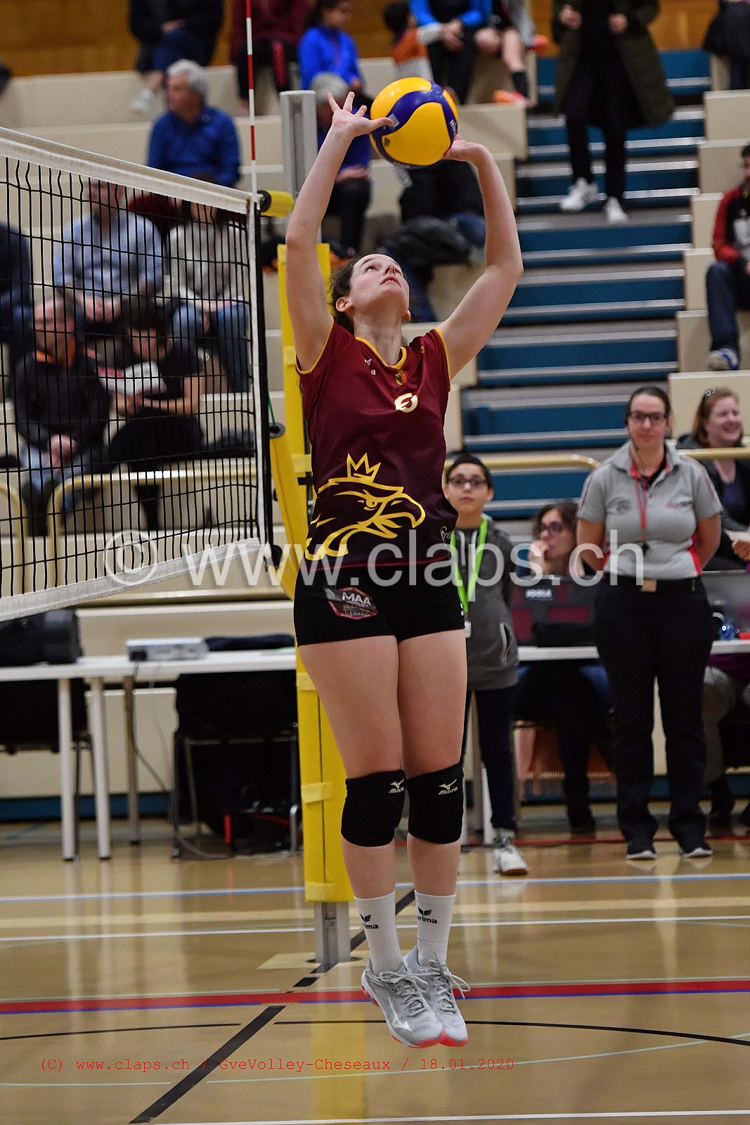 GveVolley - Cheseaux