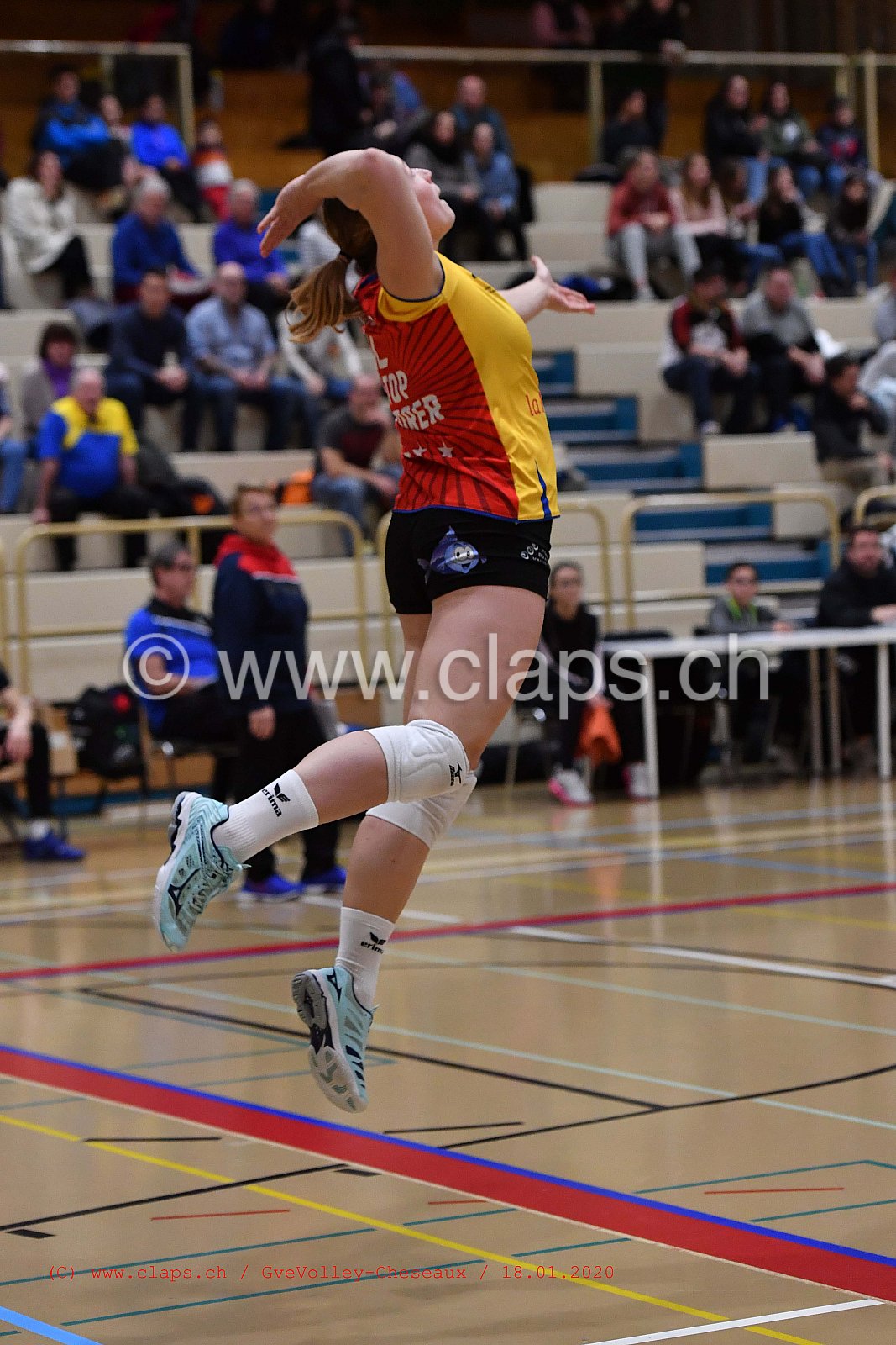 GveVolley - Cheseaux