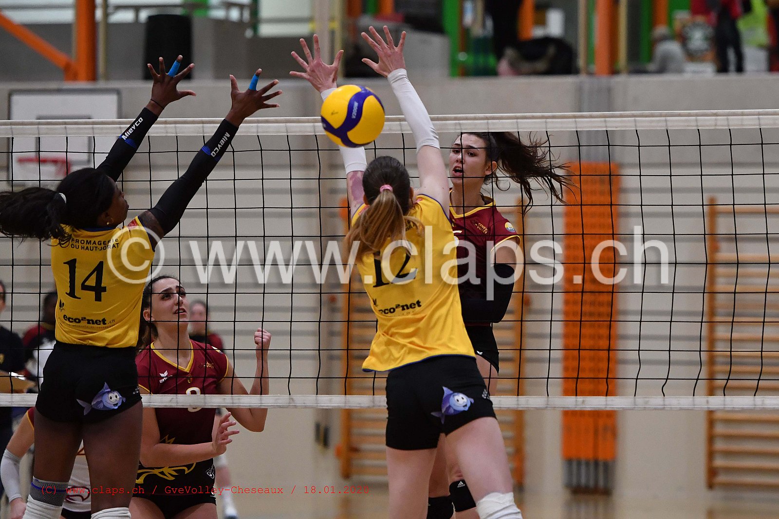 GveVolley - Cheseaux