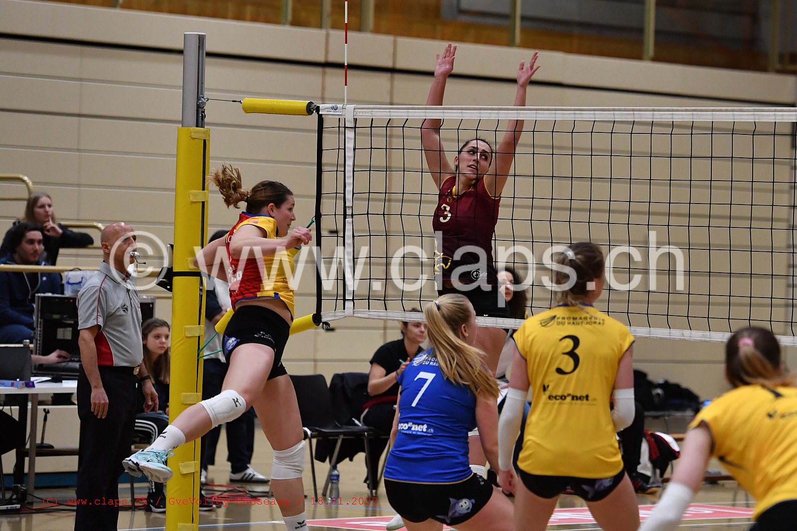 GveVolley - Cheseaux