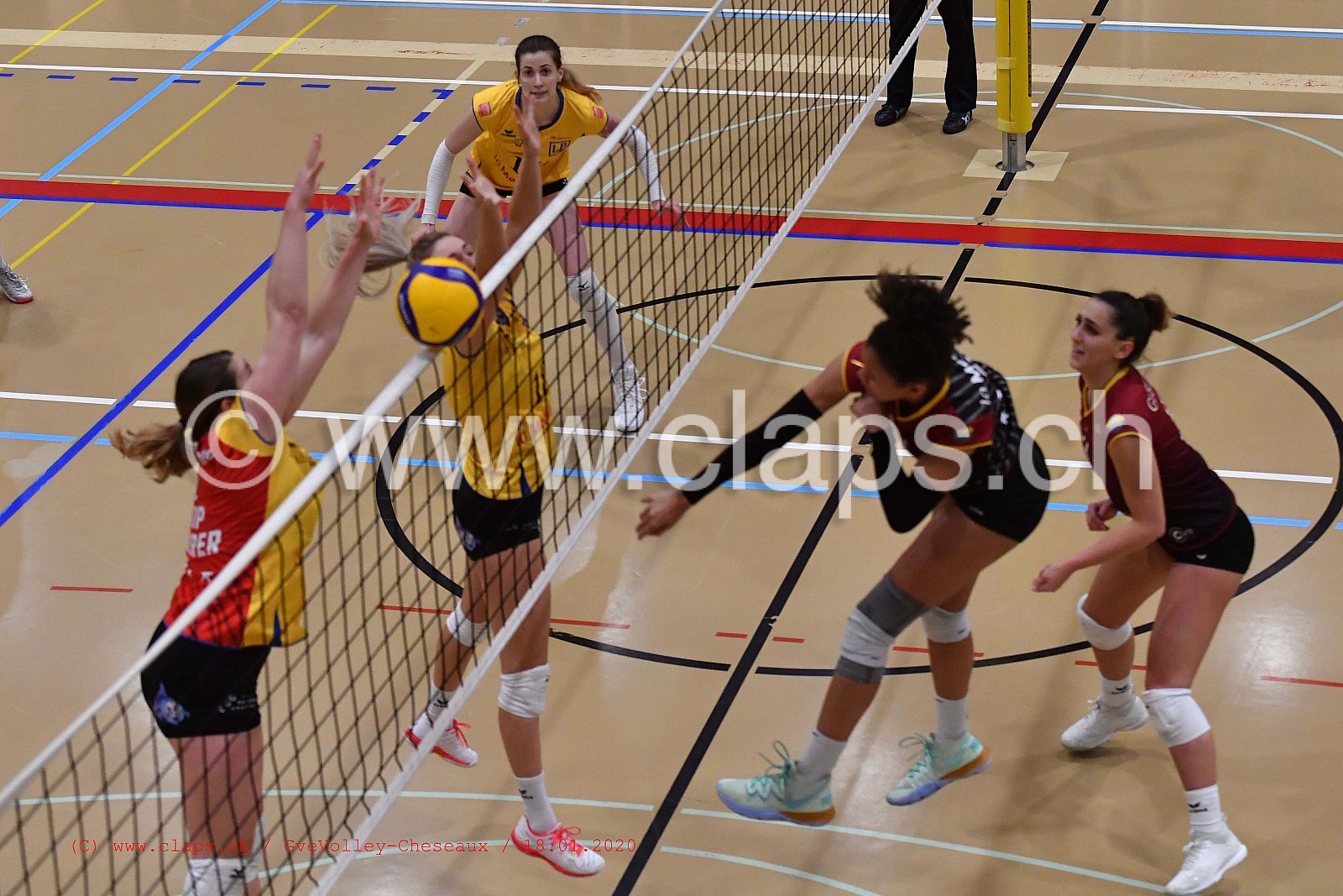 GveVolley - Cheseaux