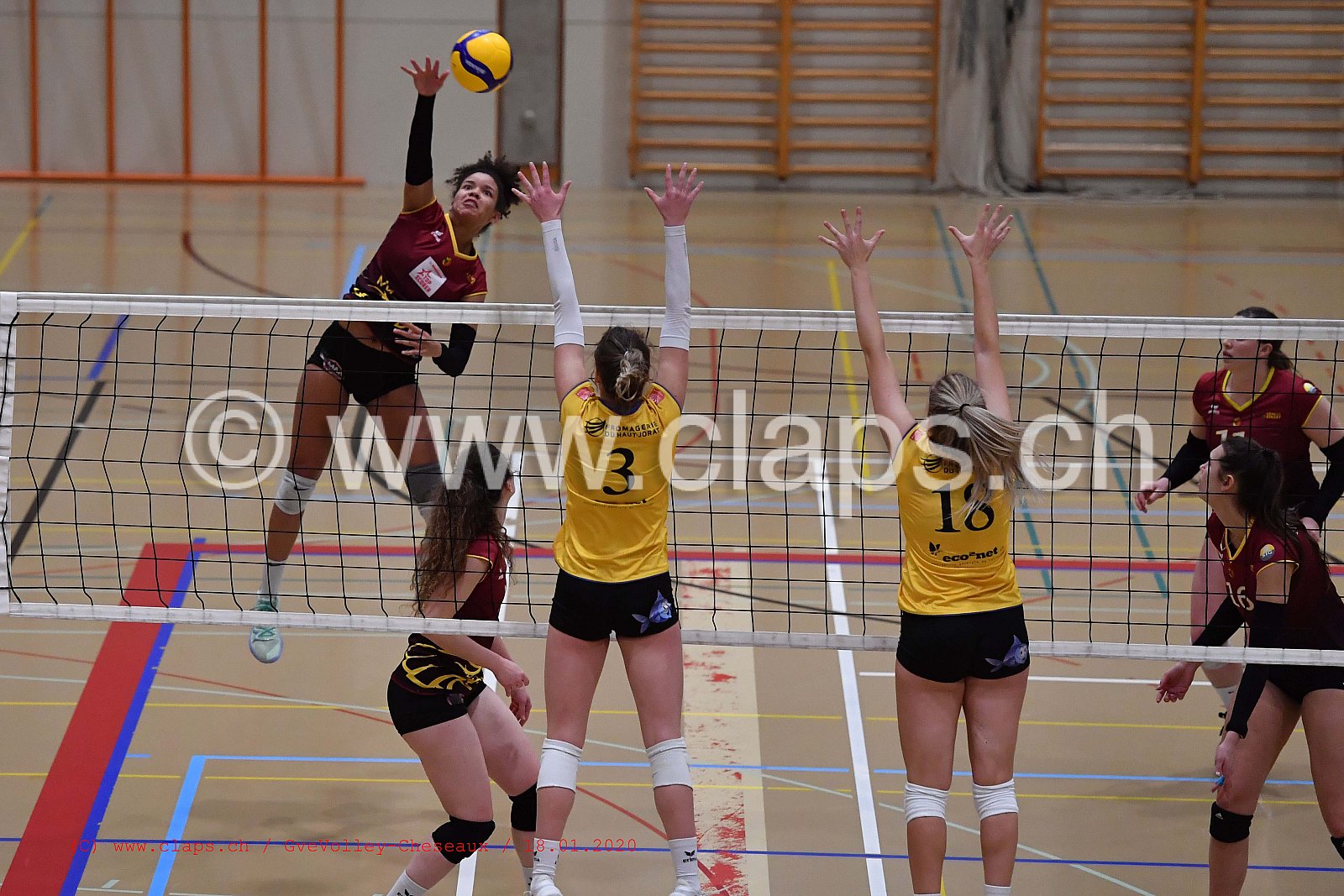 GveVolley - Cheseaux