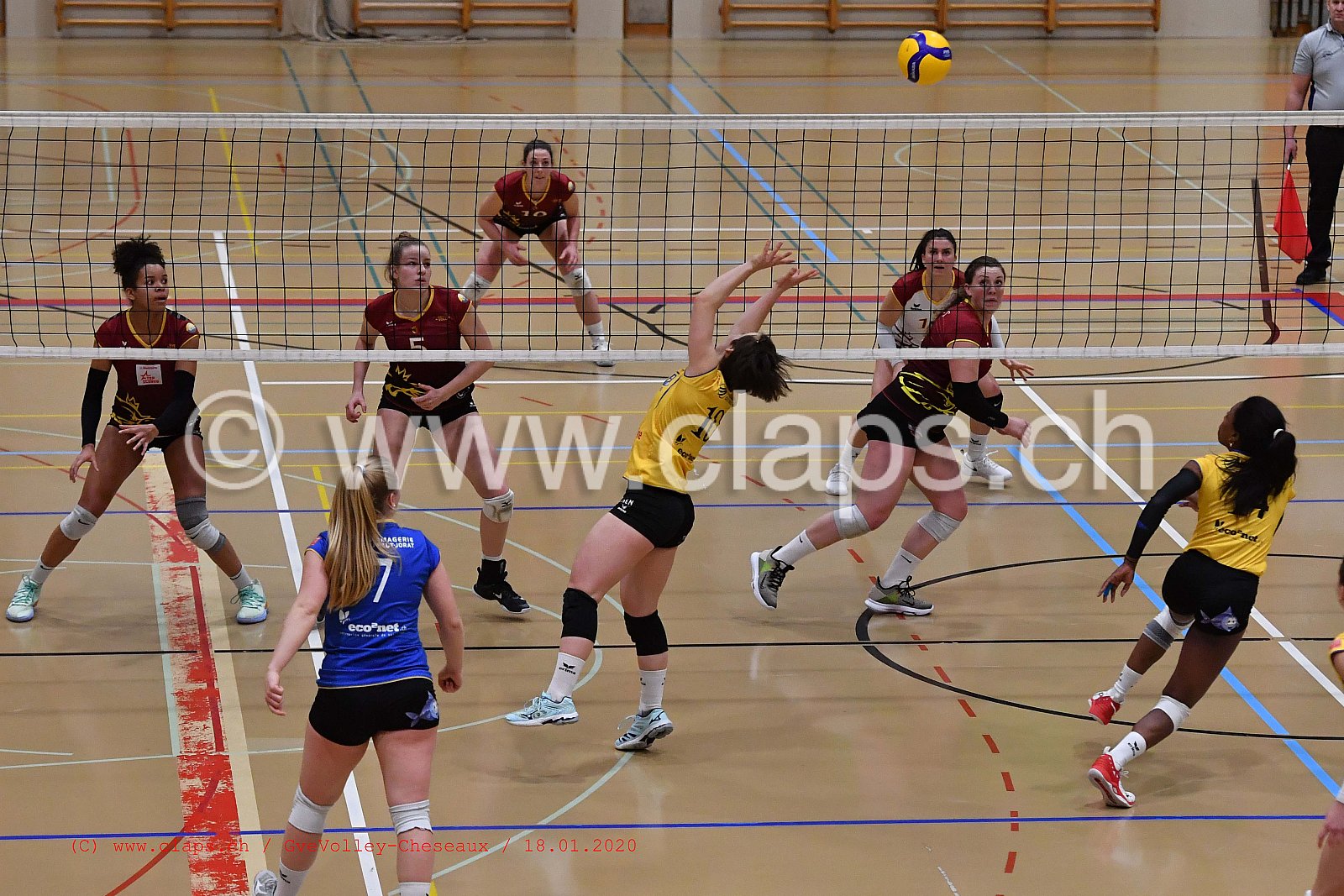 GveVolley - Cheseaux
