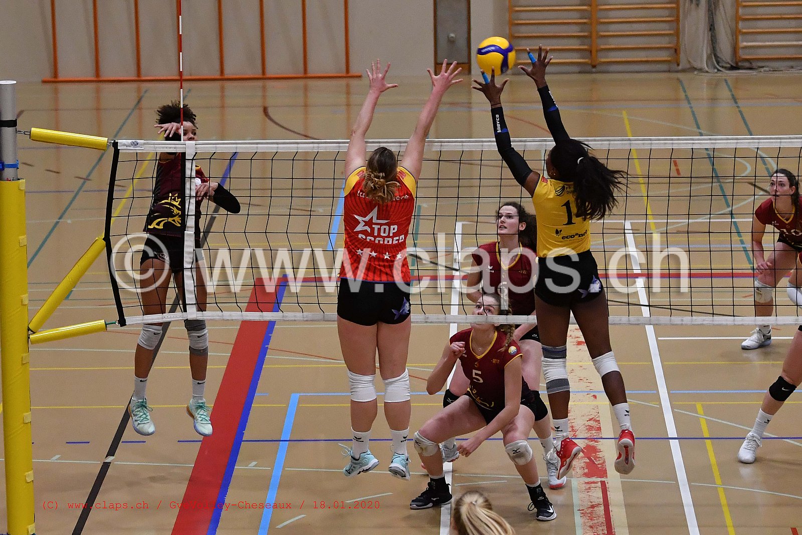 GveVolley - Cheseaux