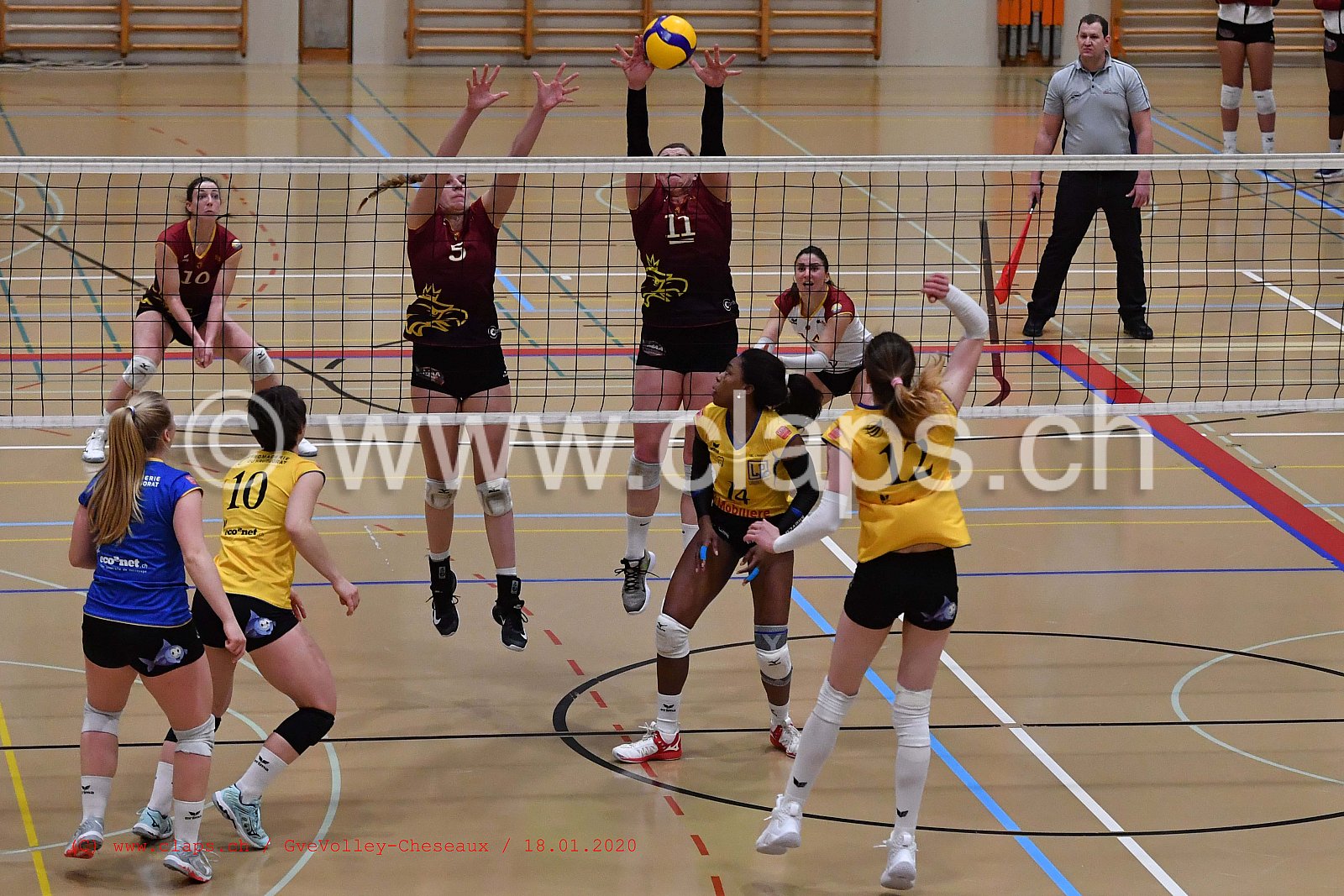 GveVolley - Cheseaux