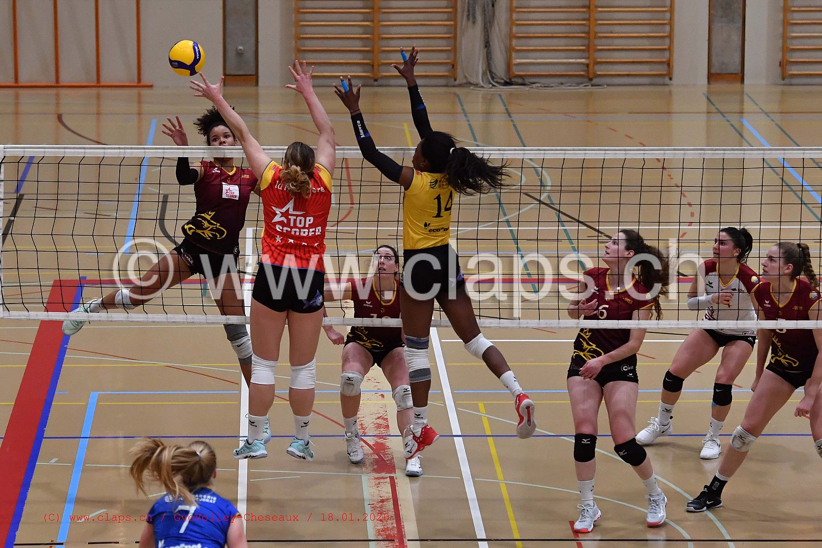 GveVolley - Cheseaux