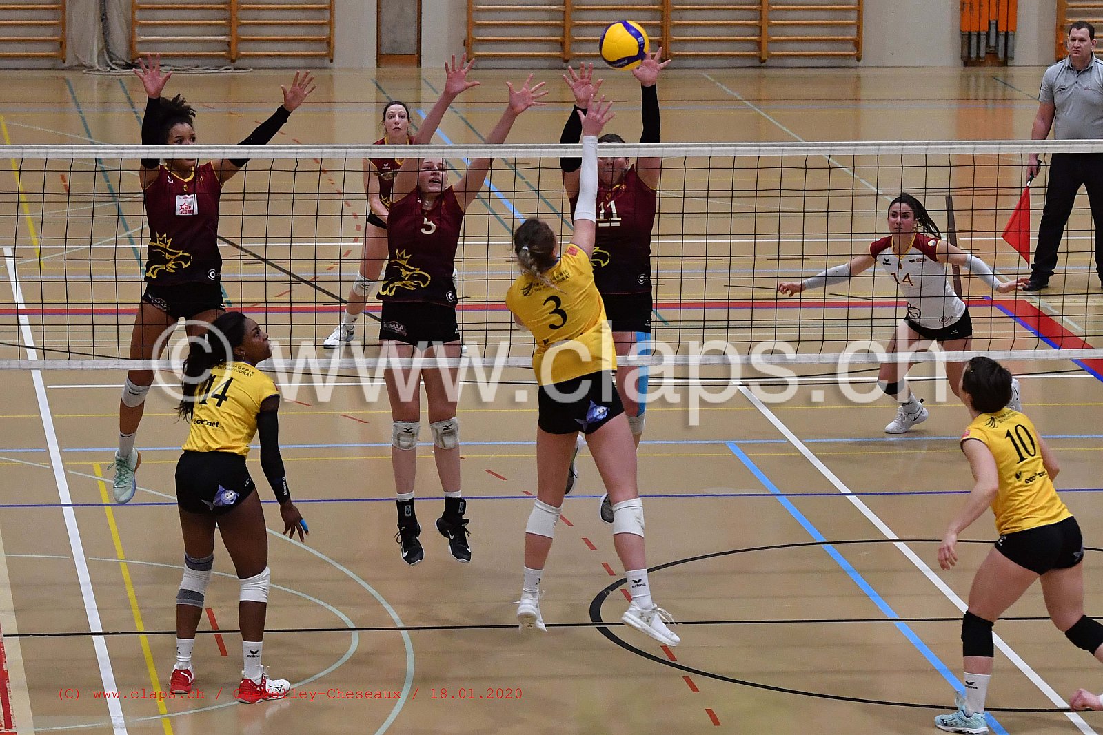GveVolley - Cheseaux