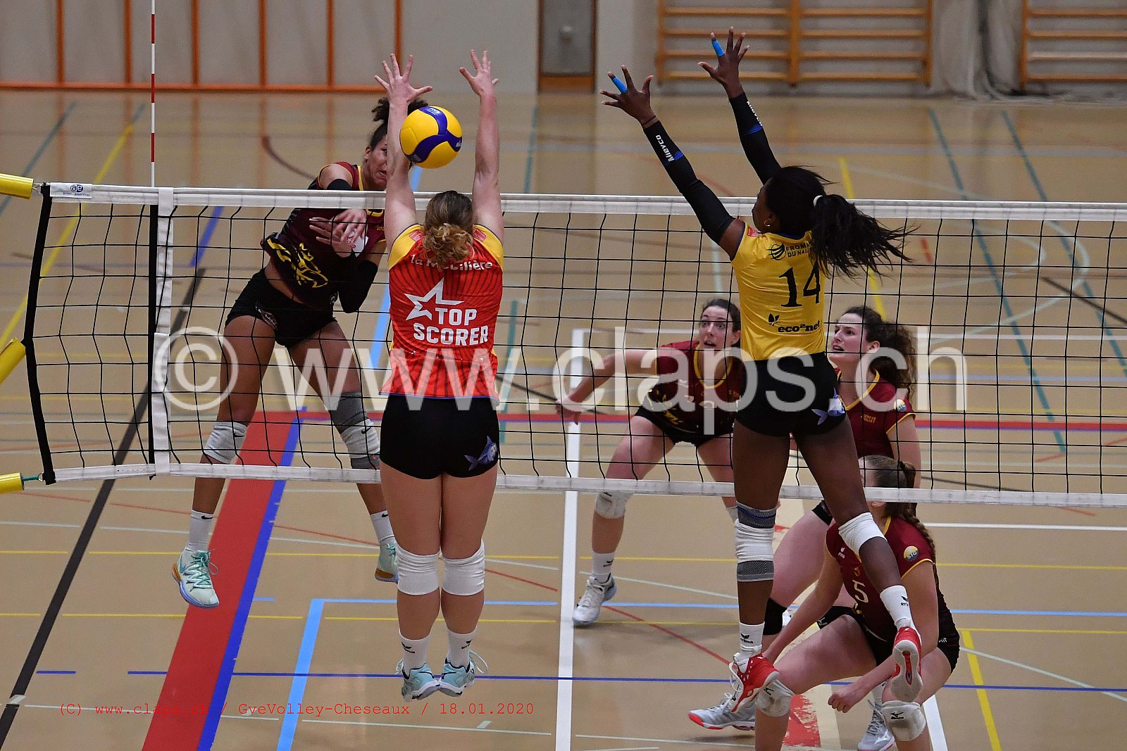 GveVolley - Cheseaux
