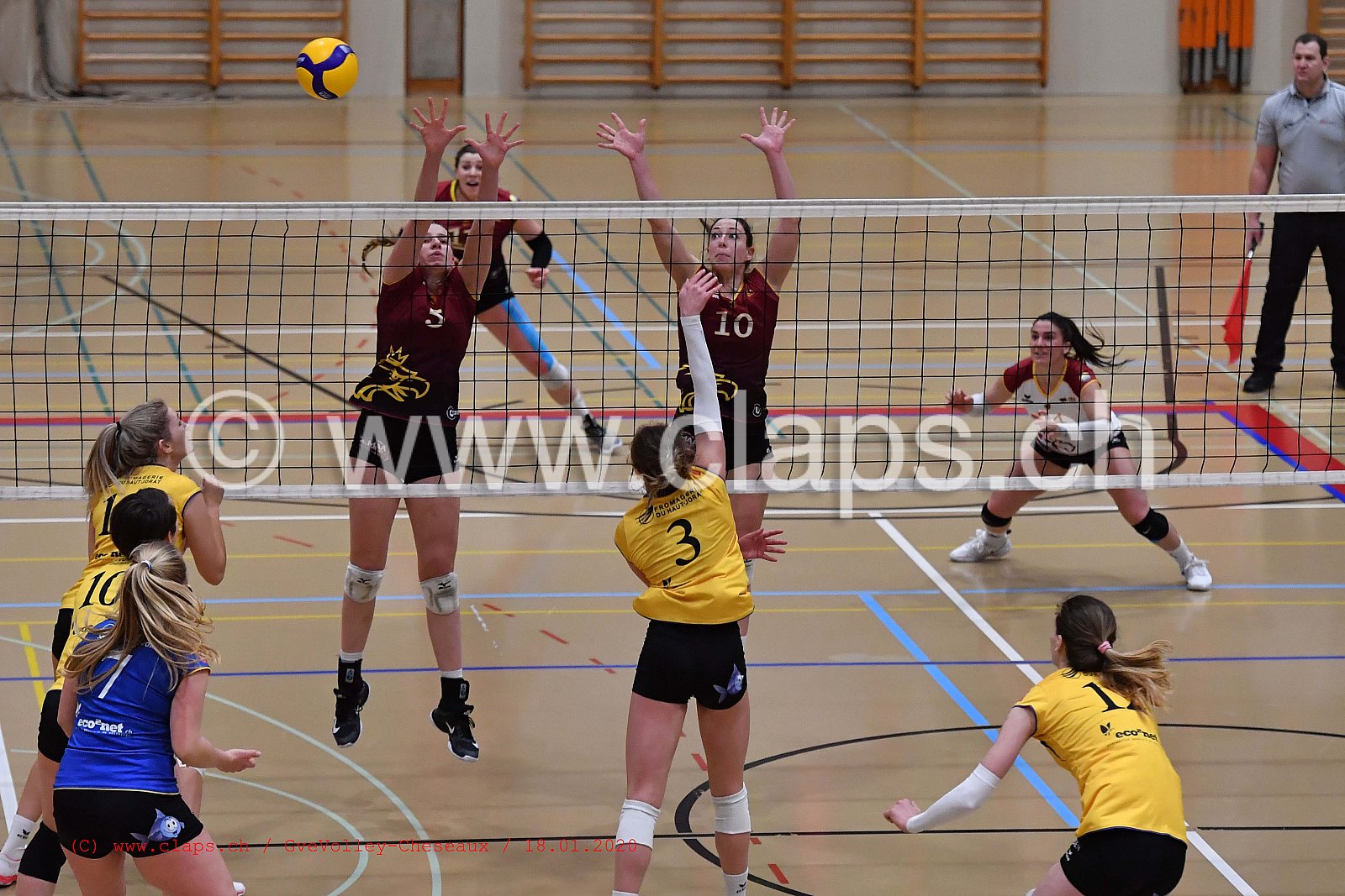 GveVolley - Cheseaux