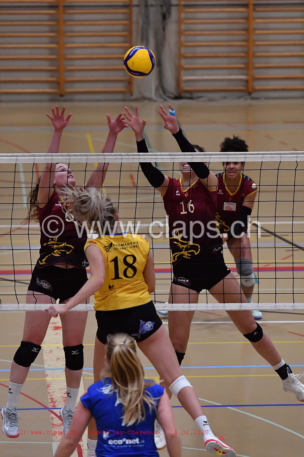 GveVolley - Cheseaux