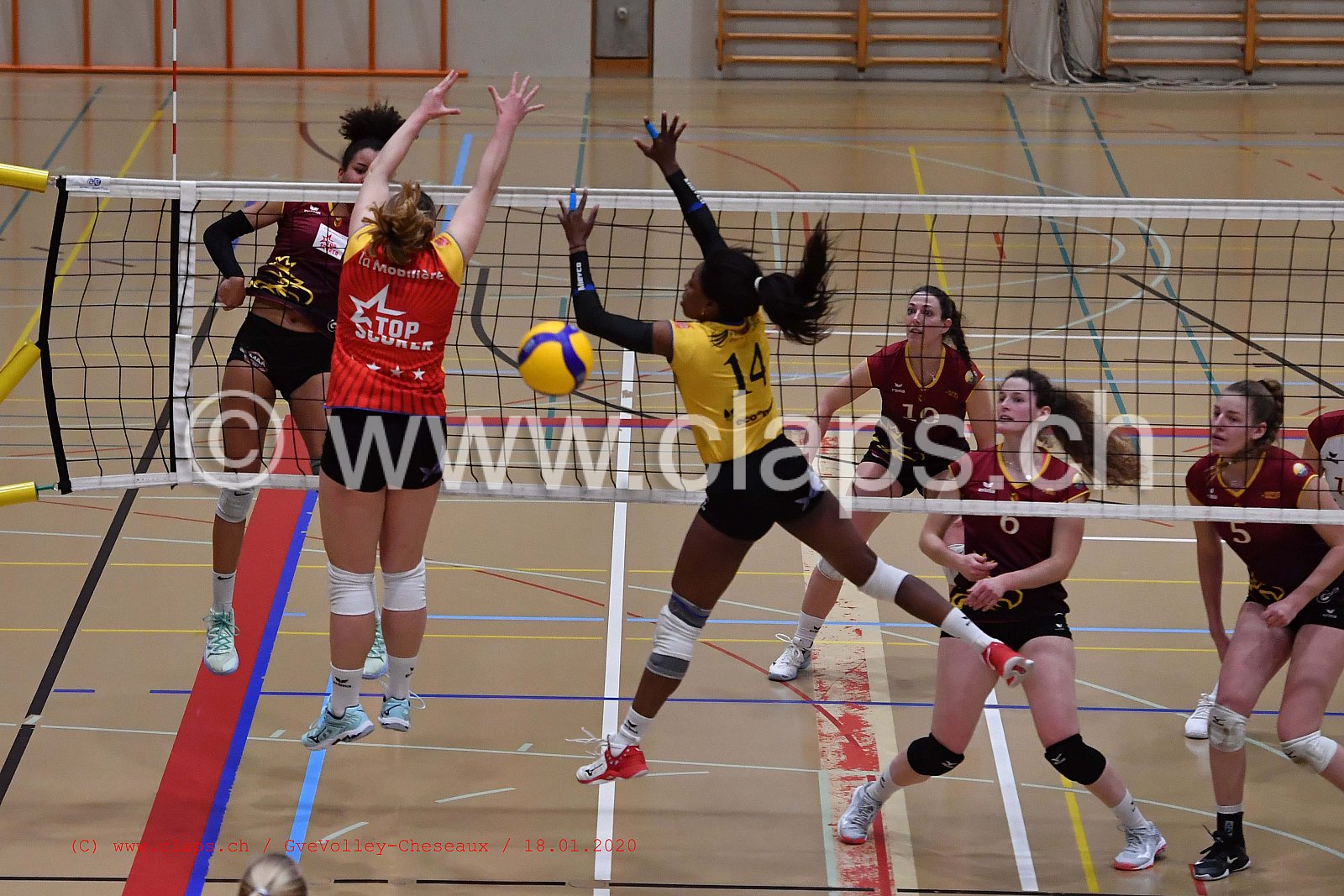 GveVolley - Cheseaux