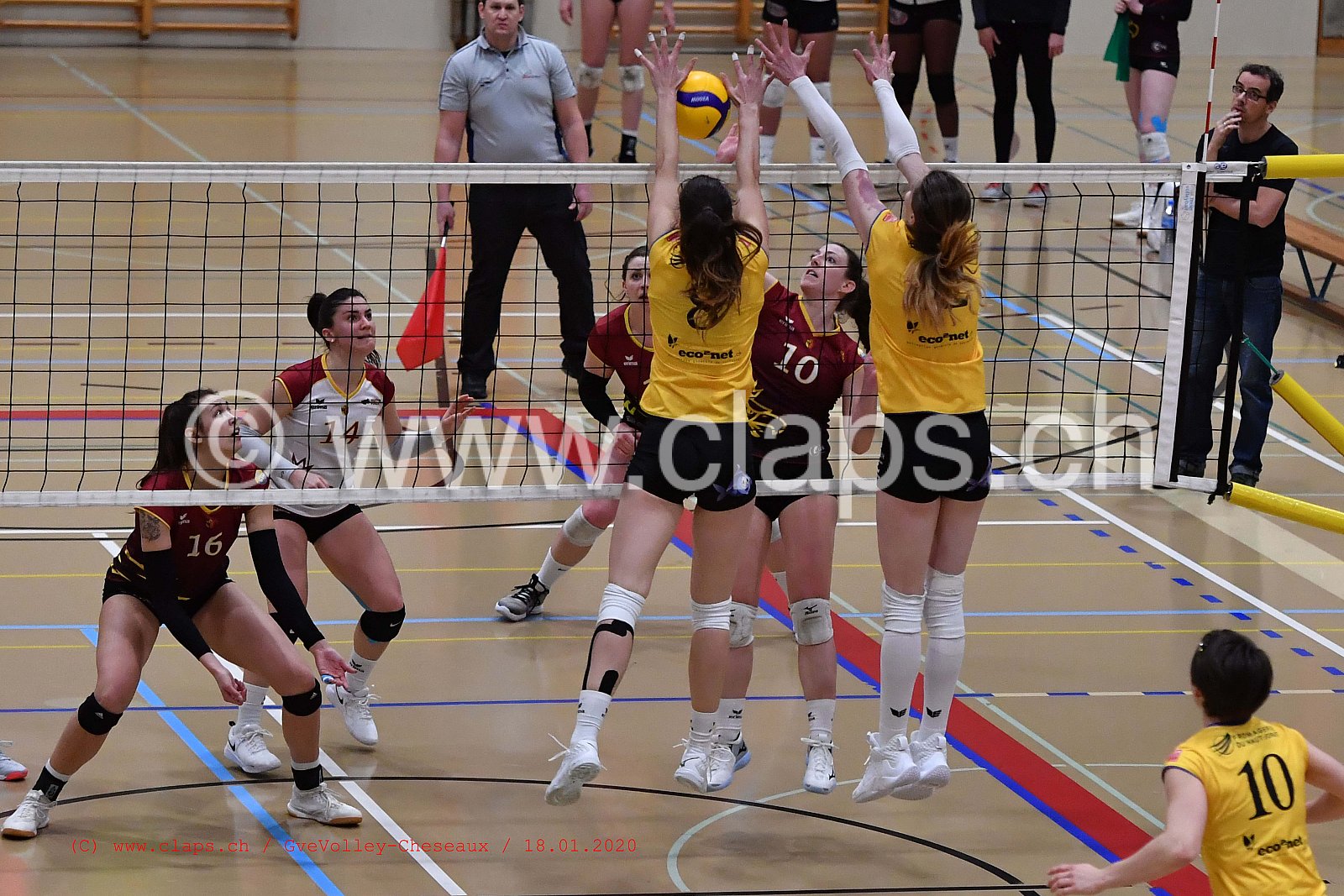 GveVolley - Cheseaux