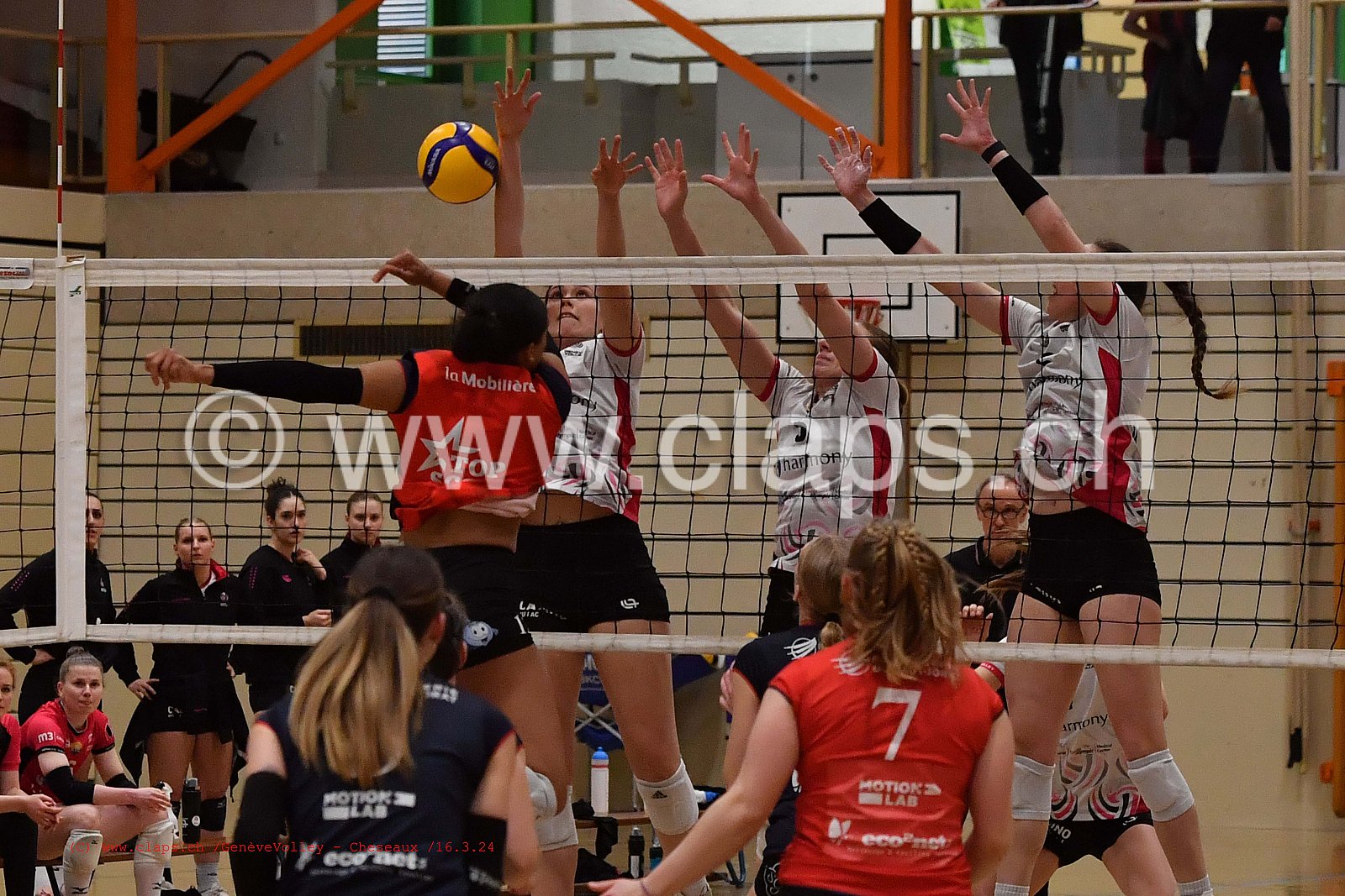 20240316_GeneveVolley_Cheseaux
