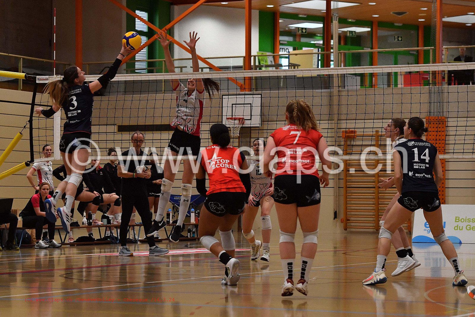 20240316_GeneveVolley_Cheseaux