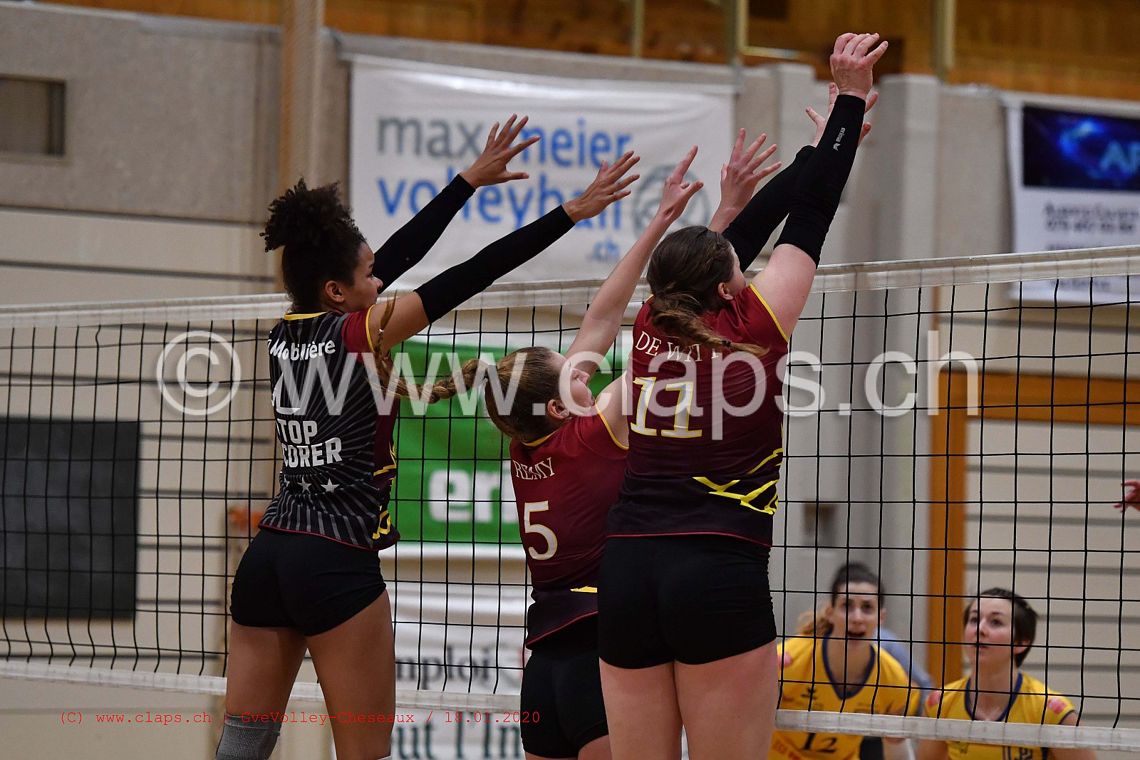 GveVolley - Cheseaux