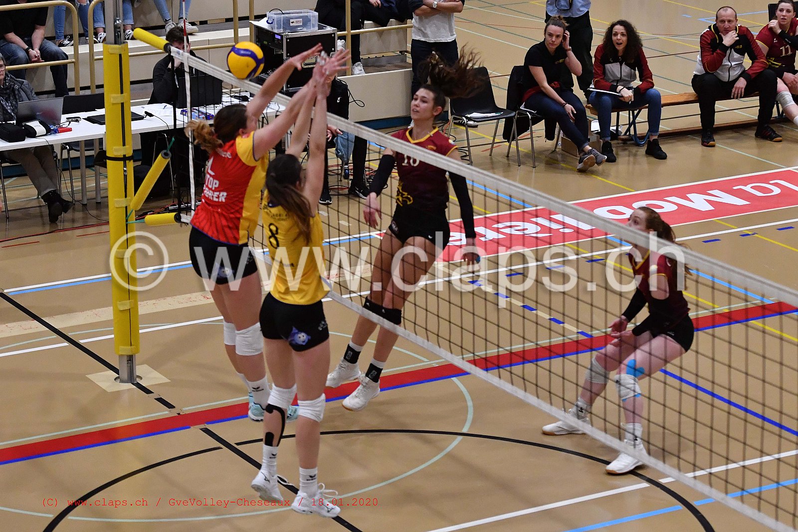 GveVolley - Cheseaux