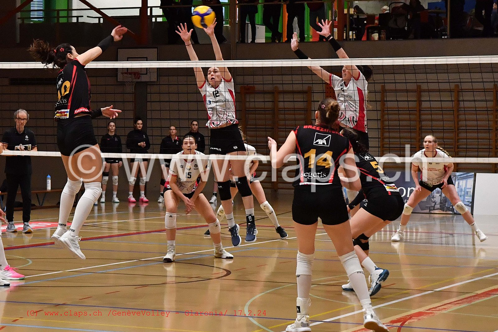 20240217 GeneveVolley - Glaronia