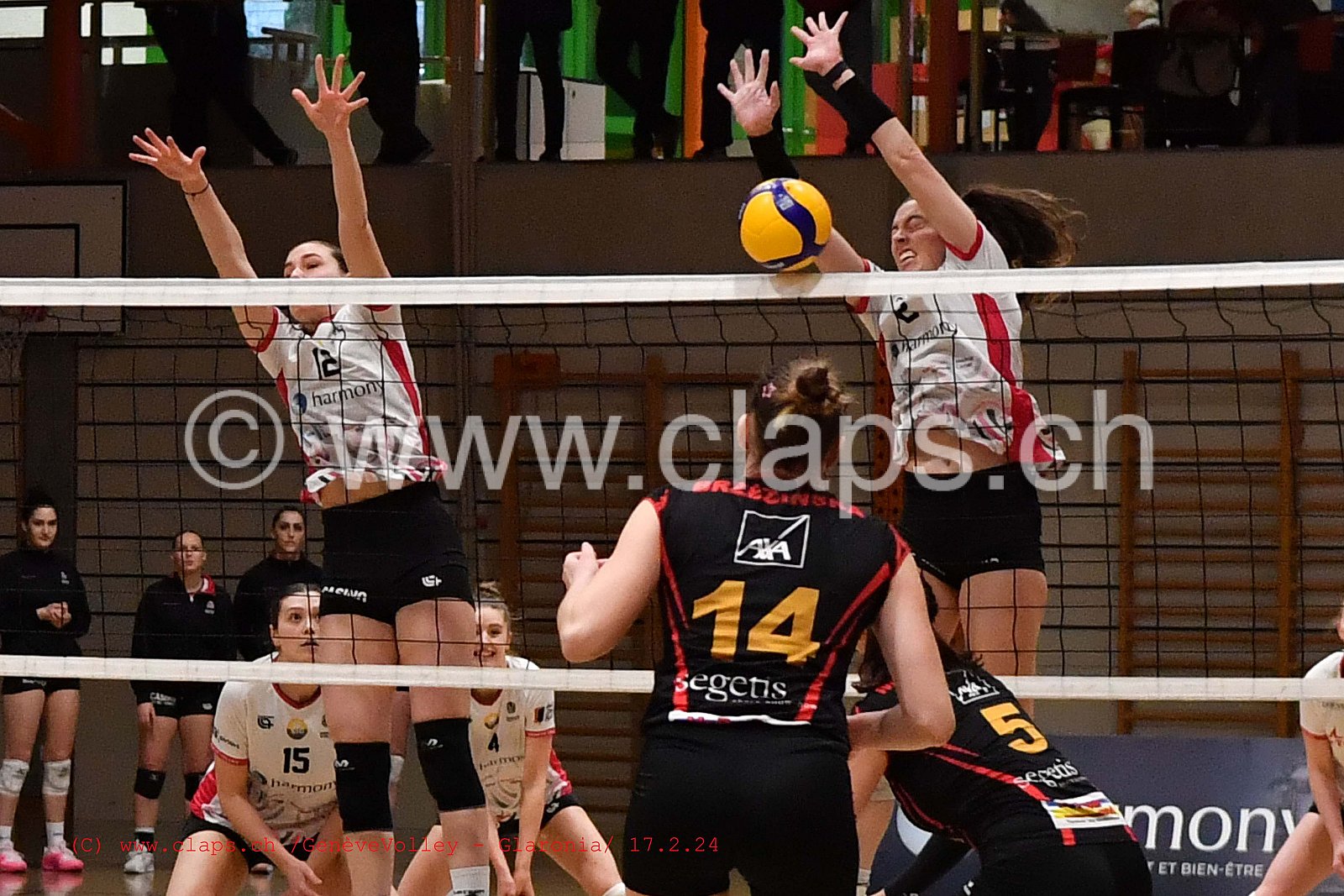 20240217 GeneveVolley - Glaronia