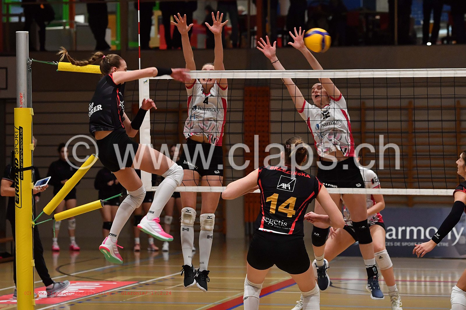 20240217 GeneveVolley - Glaronia