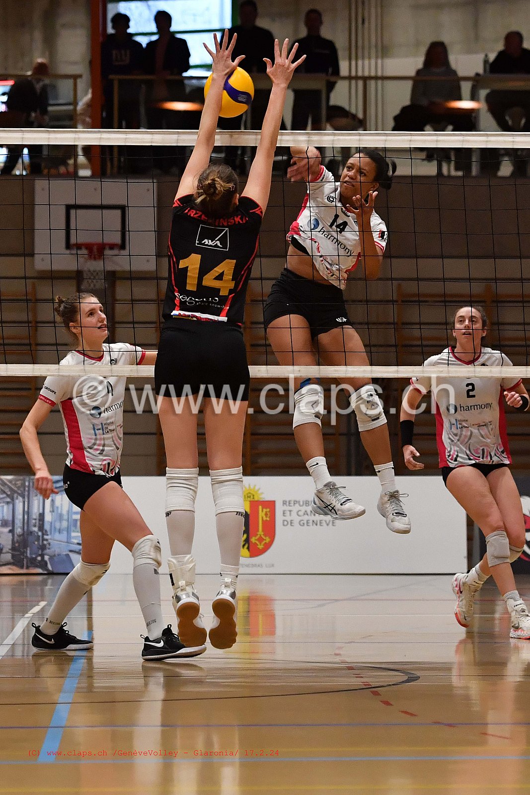20240217 GeneveVolley - Glaronia