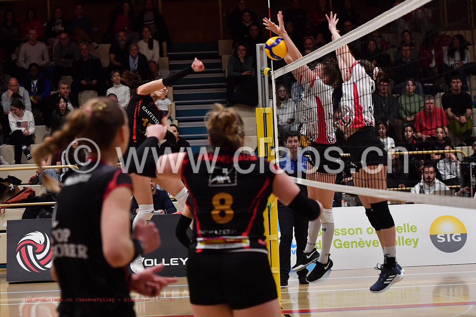 20240217 GeneveVolley - Glaronia