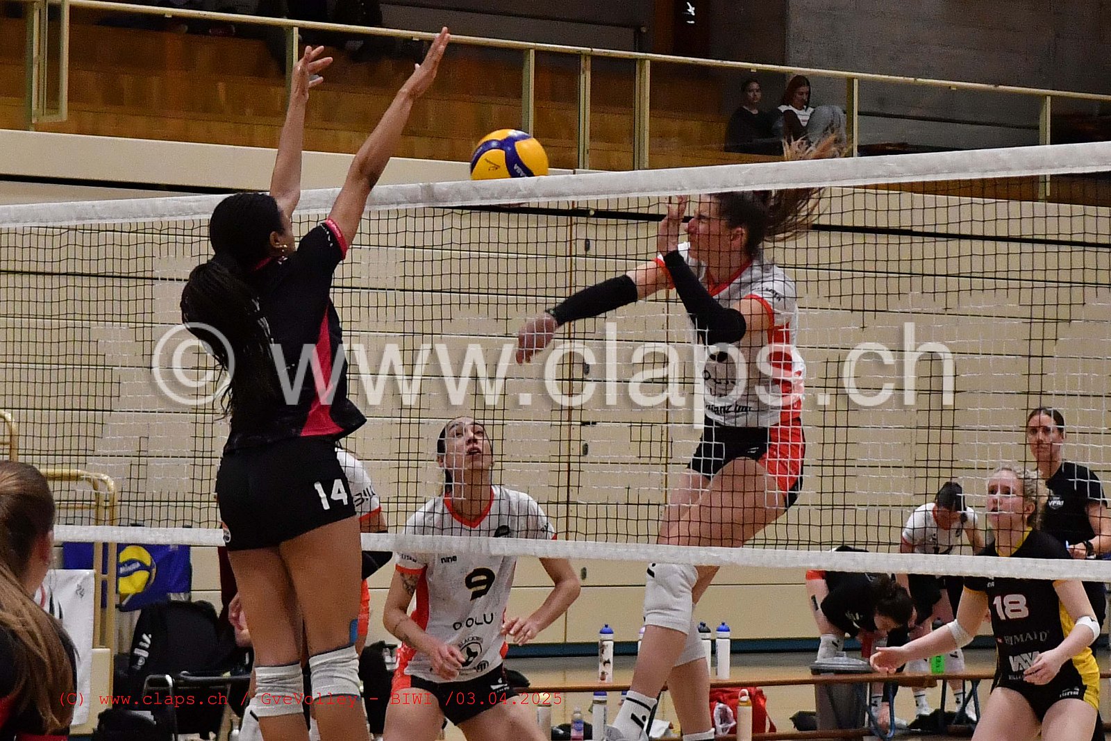 20250403_Infomaniak_GeneveVolley_BIWI