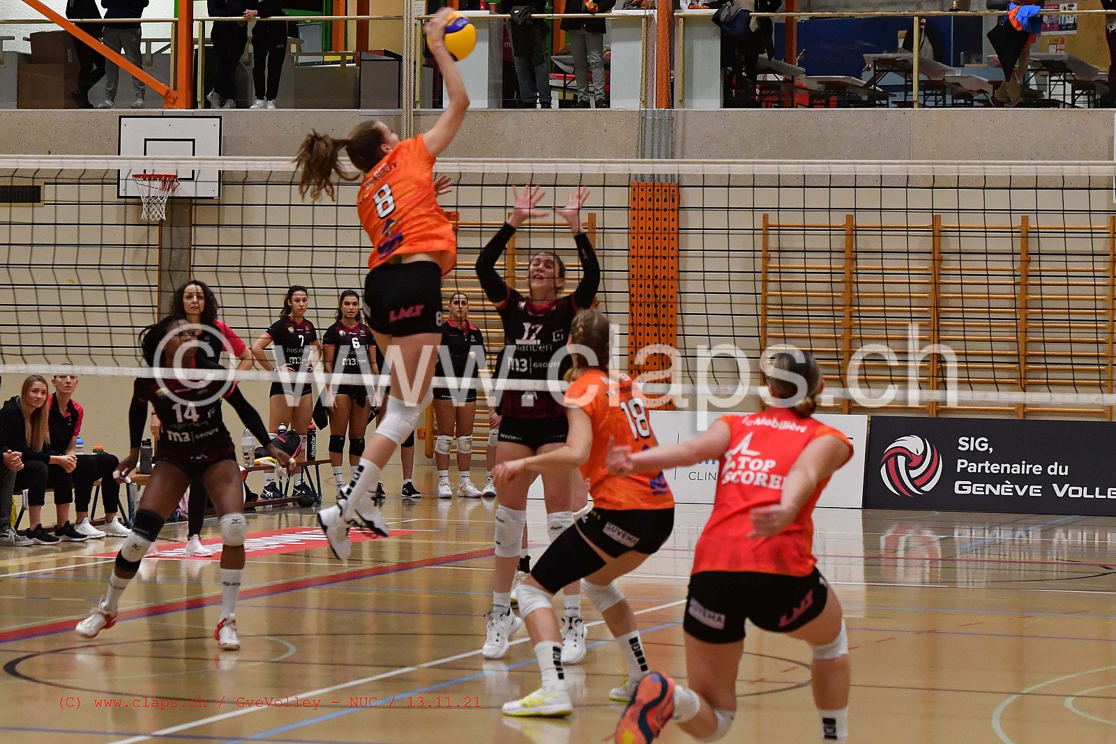 Geneve Volley - NUC