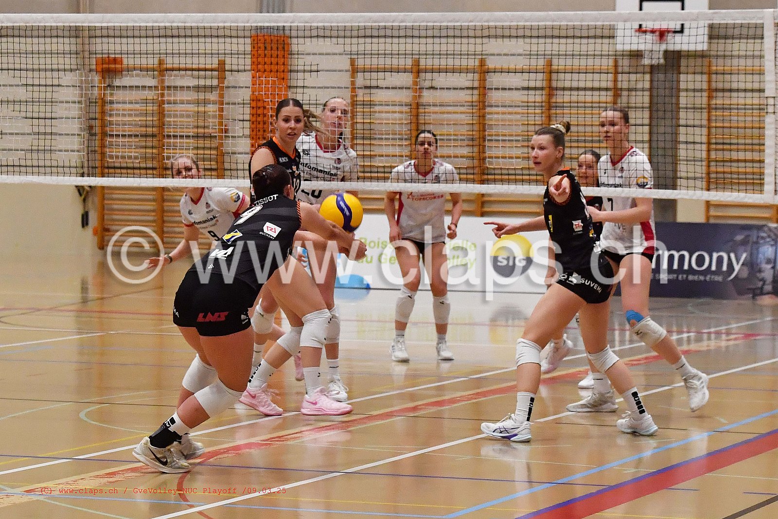 20250309_InfomaniakGeneveVolley_NUC playoff acte 2