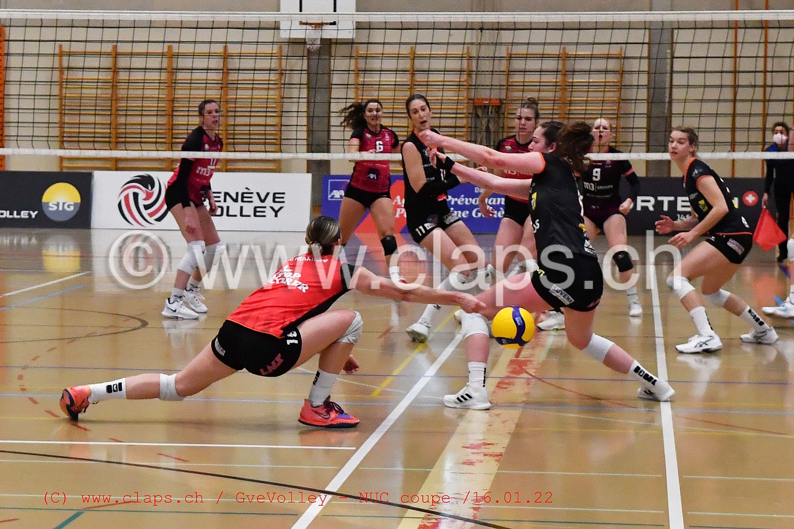 GenèveVolley - NUC Coupe