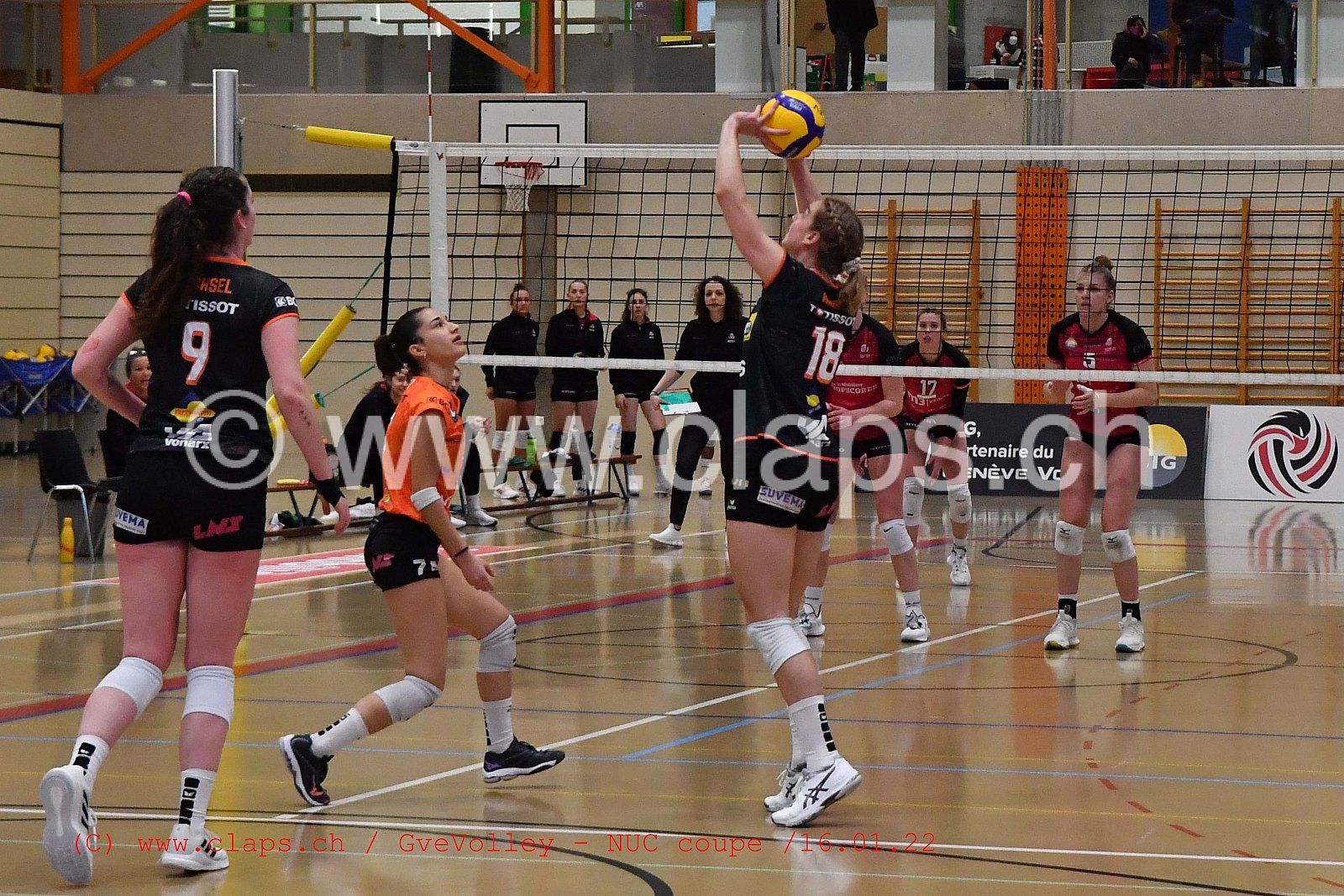 GenèveVolley - NUC Coupe