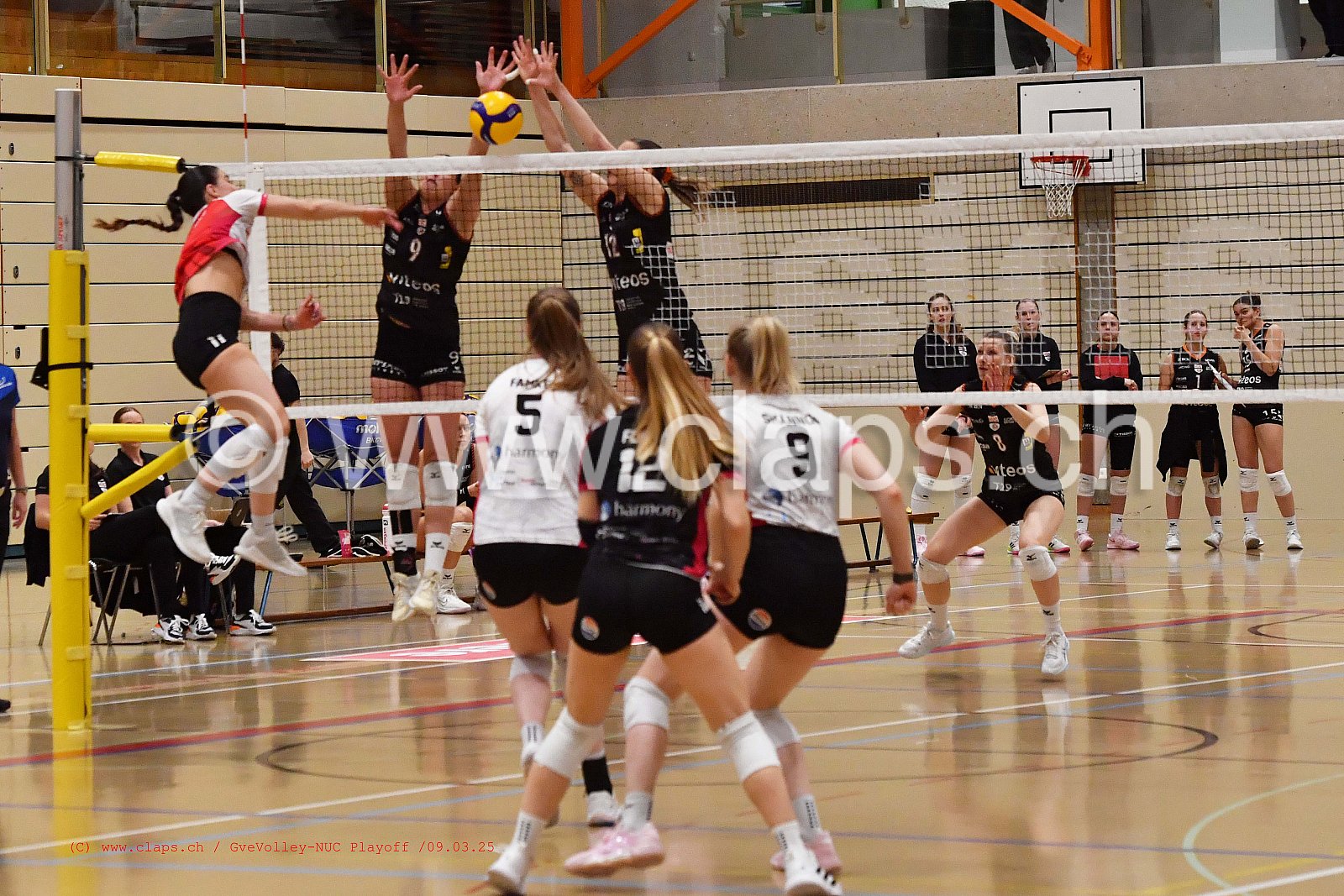 20250309_InfomaniakGeneveVolley_NUC playoff acte 2