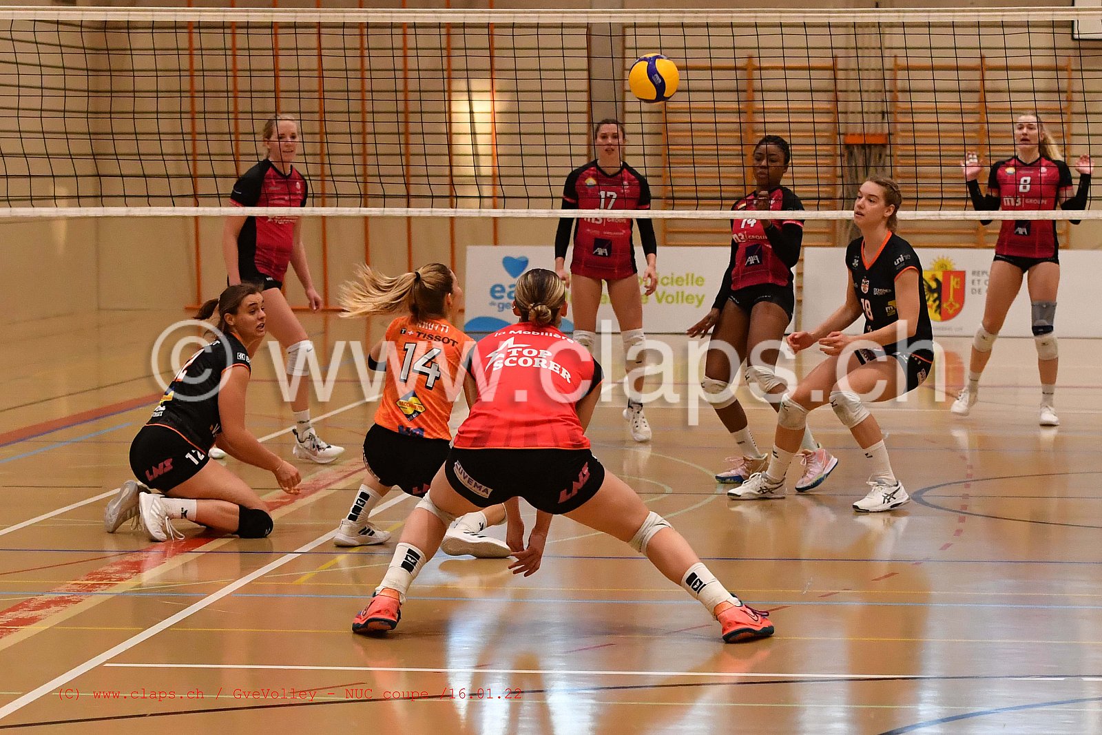 GenèveVolley - NUC Coupe