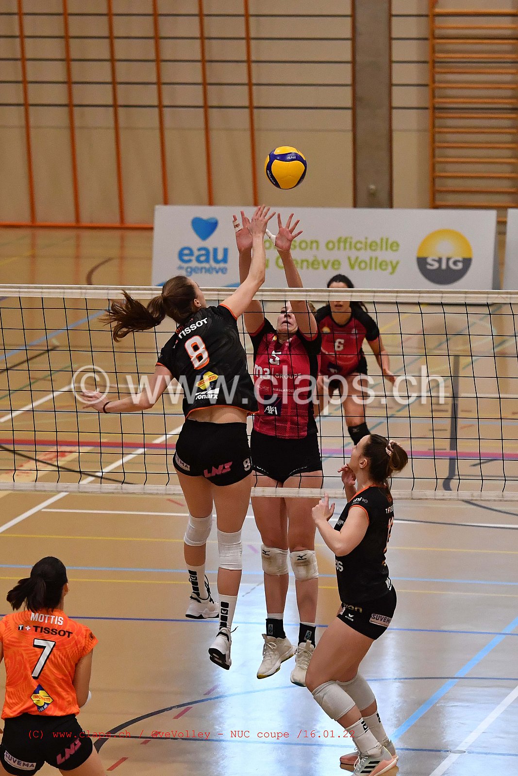 GenèveVolley - NUC Coupe
