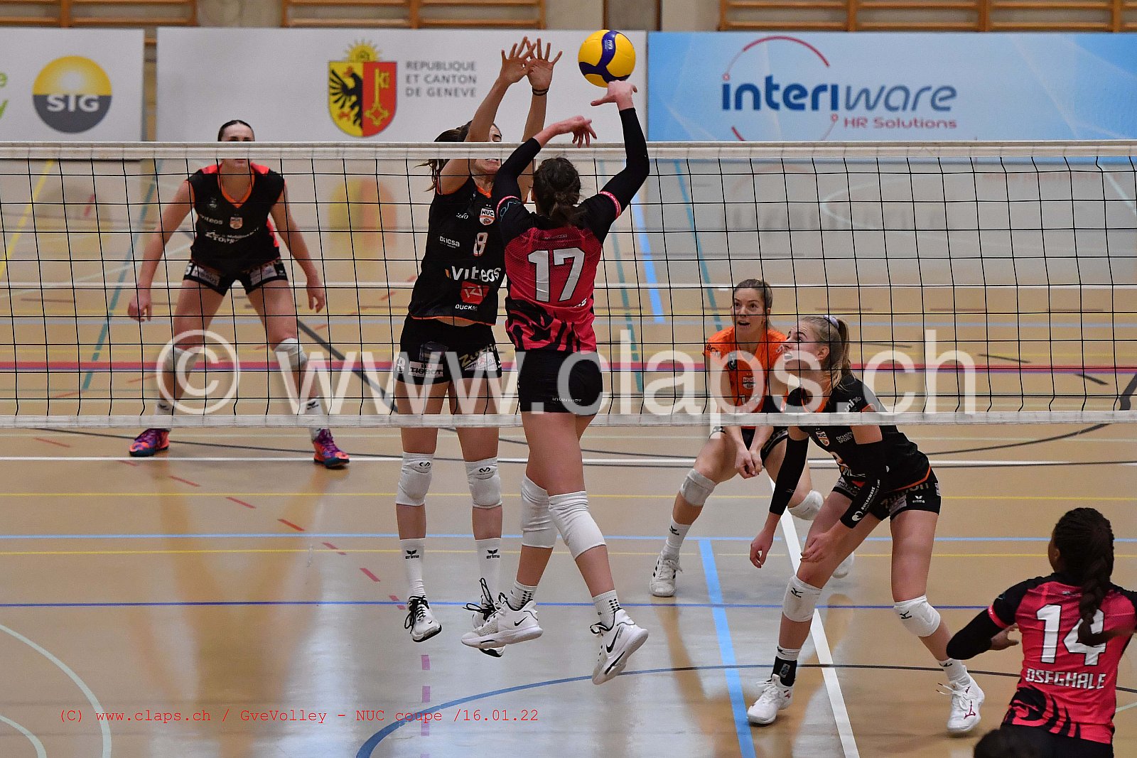 GenèveVolley - NUC Coupe