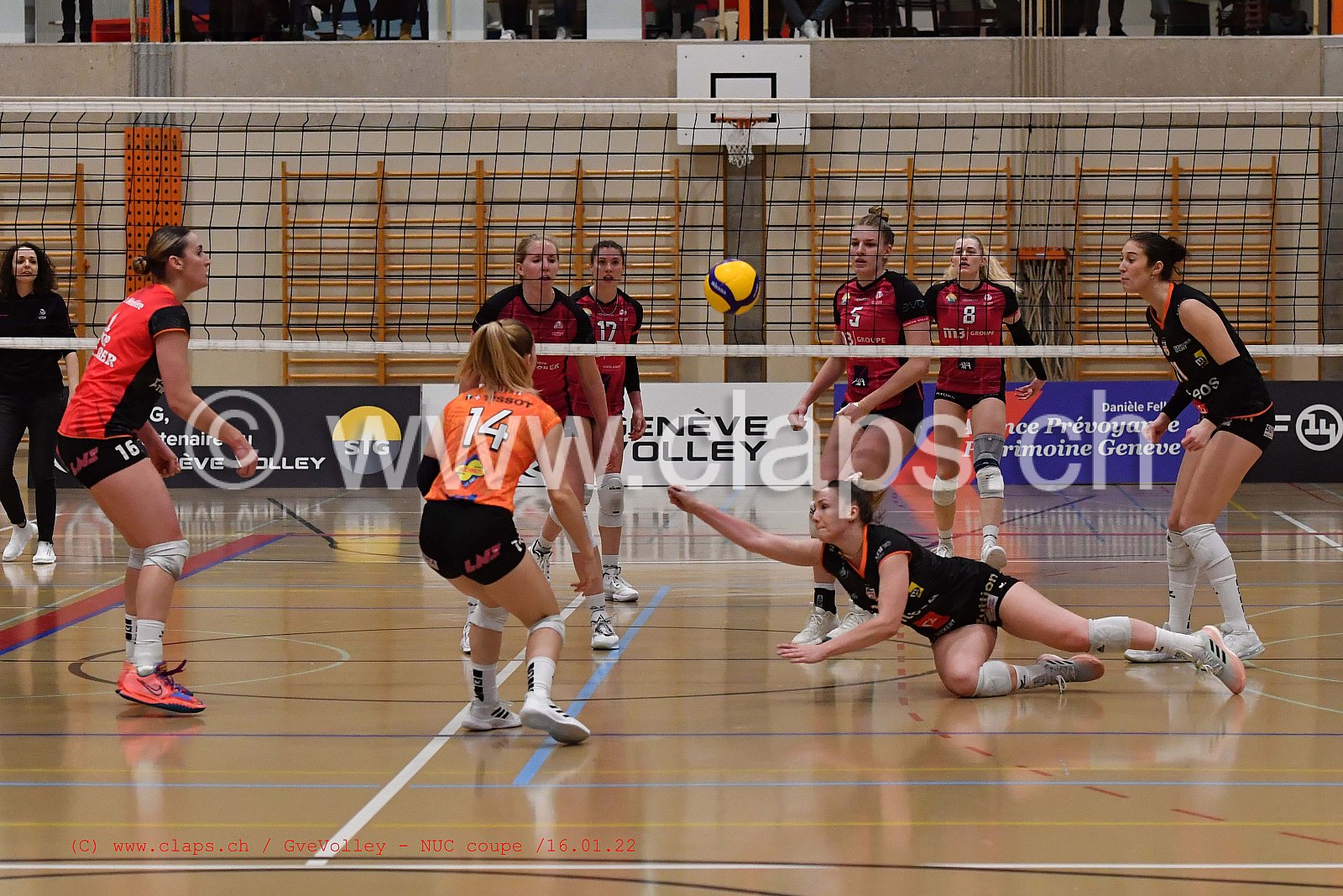 GenèveVolley - NUC Coupe