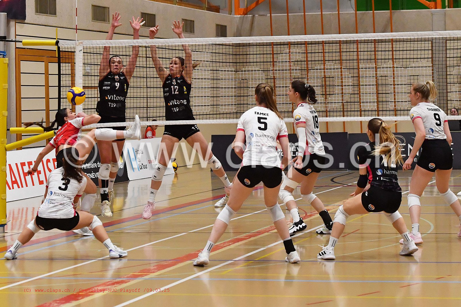 20250309_InfomaniakGeneveVolley_NUC playoff acte 2