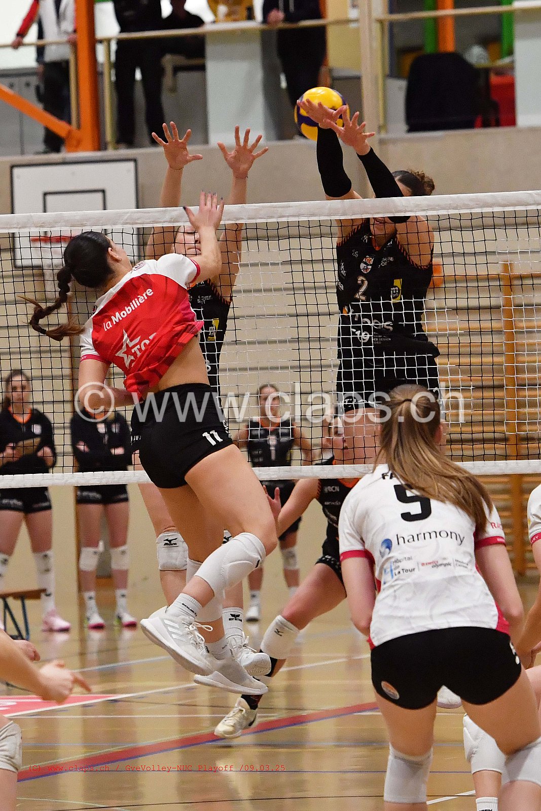 20250309_InfomaniakGeneveVolley_NUC playoff acte 2