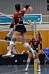 GveVolley - VFM
