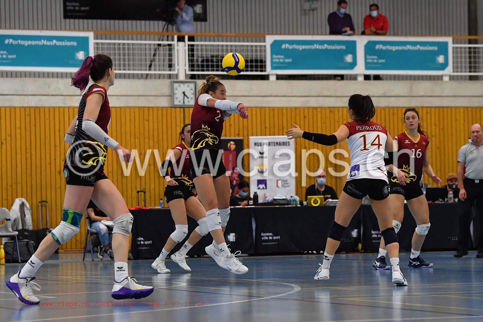 GveVolley - VFM