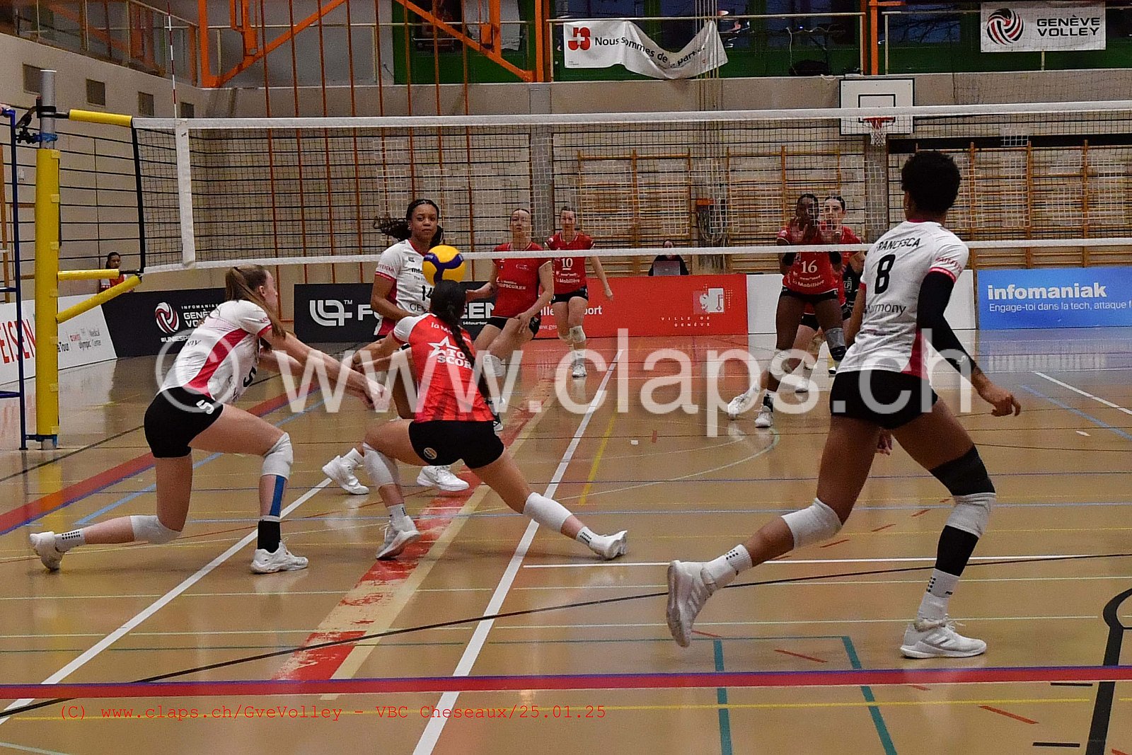 20250125_Infomaniak_GeneveVolley_Cheseaux