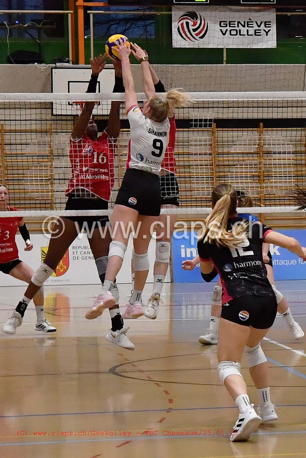 20250125_Infomaniak_GeneveVolley_Cheseaux
